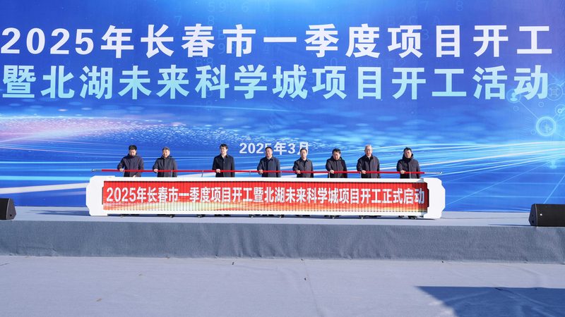 高分子材料与金属材料：揭秘厂家排名背后的真相**