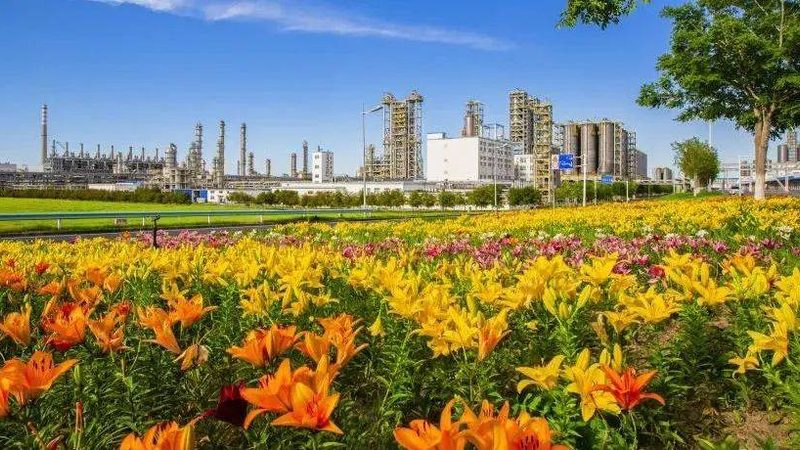 无机化工原料出口报关流程全解析**